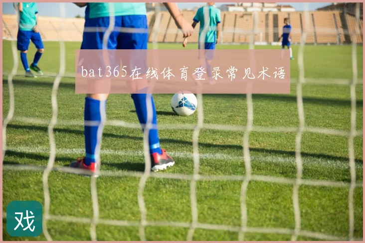 bat365在线体育登录常见术语