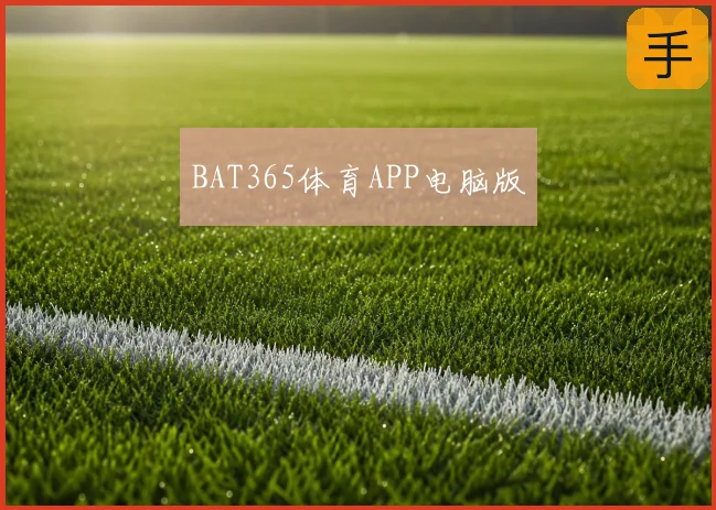 BAT365体育APP电脑版